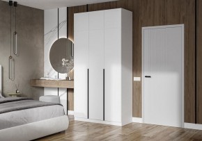 Шкаф платяной Широн в Кировграде - kirovgrad.ok-mebel.com | фото 4