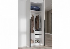 Шкаф платяной Широн в Кировграде - kirovgrad.ok-mebel.com | фото 3