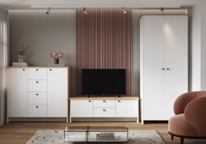 Шкаф платяной Теодора в Кировграде - kirovgrad.ok-mebel.com | фото 4
