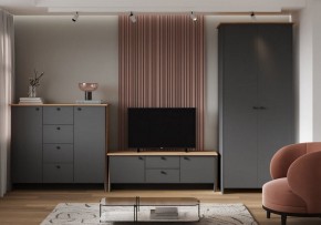 Шкаф платяной Теодора в Кировграде - kirovgrad.ok-mebel.com | фото 3