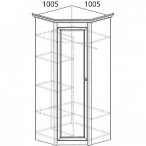 Шкаф угловой №662 "Флоренция" Фасад глухой (угол 1005*1005) Дуб оксфорд в Кировграде - kirovgrad.ok-mebel.com | фото 3