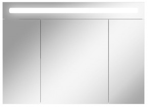 Шкаф-зеркало Аврора 100 с подсветкой LED Домино (DV8012HZ) в Кировграде - kirovgrad.ok-mebel.com | фото