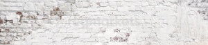 Стеновая панель SP291 глянец в Кировграде - kirovgrad.ok-mebel.com | фото 1