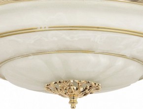 Светильник на штанге Arti Lampadari Pavia Pavia E 1.13.P40 G в Кировграде - kirovgrad.ok-mebel.com | фото 3