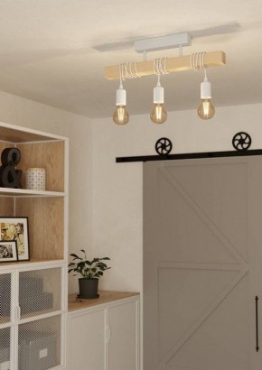 Светильник на штанге Eglo TOWNSHEND 44082 в Кировграде - kirovgrad.ok-mebel.com | фото 2