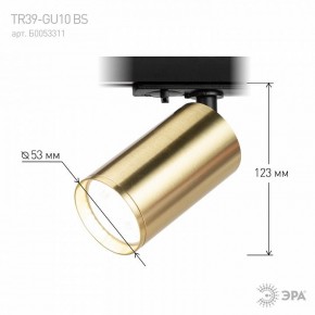 Светильник на штанге Эра  TR39-GU10 BS в Кировграде - kirovgrad.ok-mebel.com | фото 6