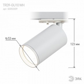 Светильник на штанге Эра  TR39-GU10 WH в Кировграде - kirovgrad.ok-mebel.com | фото 7