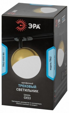 Светильник на штанге Эра  TR42-GX53 BS в Кировграде - kirovgrad.ok-mebel.com | фото 6
