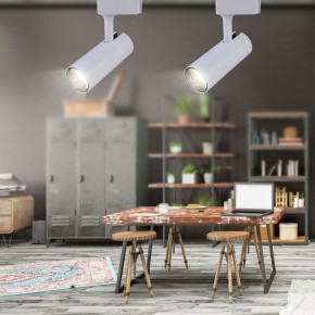 Светильник на штанге Эра  TR5-20 COB WH в Кировграде - kirovgrad.ok-mebel.com | фото 4