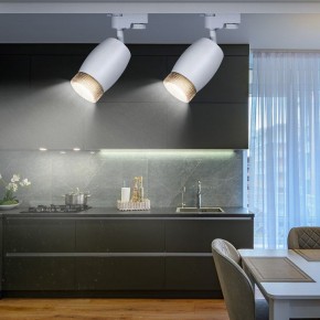 Светильник на штанге Эра  TR51 - GU10 WH в Кировграде - kirovgrad.ok-mebel.com | фото 3