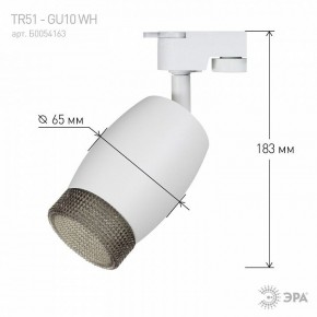 Светильник на штанге Эра  TR51 - GU10 WH в Кировграде - kirovgrad.ok-mebel.com | фото 4