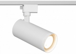 Светильник на штанге Эра  TR59 - 3030 WH в Кировграде - kirovgrad.ok-mebel.com | фото