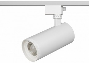 Светильник на штанге Эра  TR59 - 3030 WH в Кировграде - kirovgrad.ok-mebel.com | фото 2