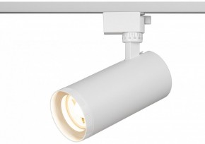 Светильник на штанге Эра  TR59 - 3030 WH в Кировграде - kirovgrad.ok-mebel.com | фото 5