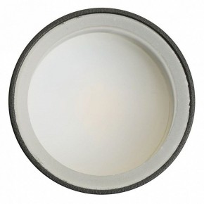 Светильник на штанге Feron ML1001 51371 в Кировграде - kirovgrad.ok-mebel.com | фото 4