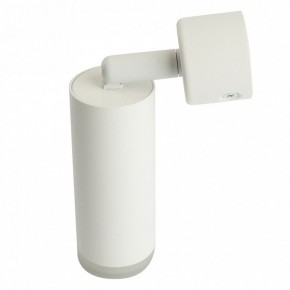 Светильник на штанге Feron ML1021 51390 в Кировграде - kirovgrad.ok-mebel.com | фото 3
