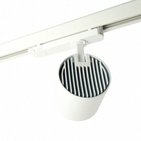 Светильник на штанге Feron TR Reflex 52058 в Кировграде - kirovgrad.ok-mebel.com | фото 3