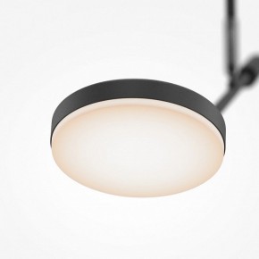 Светильник на штанге Maytoni Fad MOD070CL-L8B3K в Кировграде - kirovgrad.ok-mebel.com | фото 4