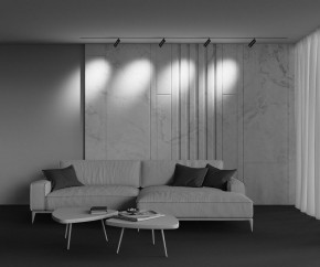 Светильник на штанге Maytoni Focus Zoom TR212-4-12WTW-DD2-Z-B в Кировграде - kirovgrad.ok-mebel.com | фото 6