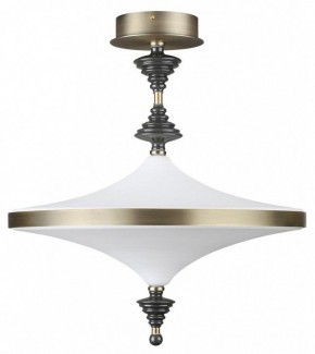 Светильник на штанге Odeon Light Ula 5404/43CL в Кировграде - kirovgrad.ok-mebel.com | фото