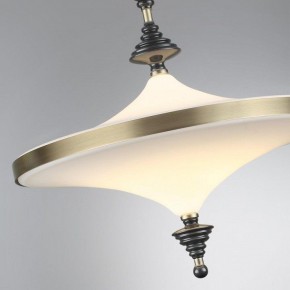 Светильник на штанге Odeon Light Ula 5404/43CL в Кировграде - kirovgrad.ok-mebel.com | фото 6