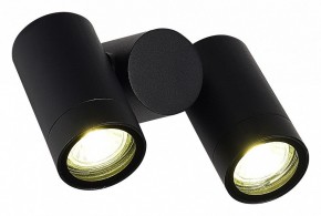 Светильник на штанге ST-Luce Ecollo SL9011.402.02 в Кировграде - kirovgrad.ok-mebel.com | фото 3