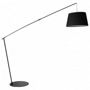 Торшер Lussole Wrangell LSP-0505 в Кировграде - kirovgrad.ok-mebel.com | фото