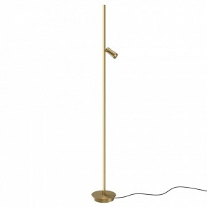 Торшер Maytoni Thin MOD395FL-L28BS3K в Кировграде - kirovgrad.ok-mebel.com | фото