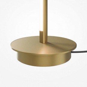 Торшер Maytoni Thin MOD395FL-L28BS3K в Кировграде - kirovgrad.ok-mebel.com | фото 7