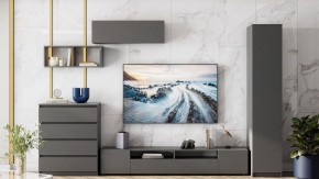 Тумба под ТВ Сибити в Кировграде - kirovgrad.ok-mebel.com | фото 3