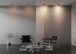 Встраиваемый светильник Maytoni Onda DL024-12W-DTW-BMG в Кировграде - kirovgrad.ok-mebel.com | фото 9
